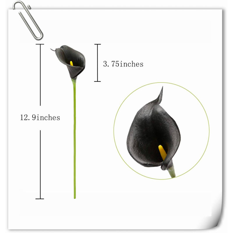 Arrangement Lillies, H 13,58 po x l 2,3 po x P 3 po, Noir