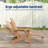  Folding Adirondack Chair with Retractable Ottoman, 3-Postion Adjustable Outdoor Chair, Easy Assembly & Ergonomic Back Support for Patio-1709479133