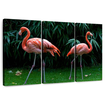 Brampt, deux flamants roses