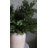 Cedar Juniper Branch 30"