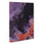 Curiosity in Abstract - Wrapped Canvas-55317145