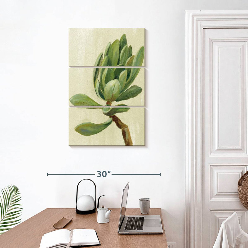 Harnek Front Yard Succulent III, 32" H x 20" W