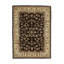 Castilian II Hand Knotted Oriental Area Rug