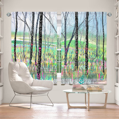 Fayyad Room Darkening Curtain Pair