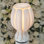 Lampe de table à DEL à intensité variable 13 "à DEL en forme de plante tropicale Flower