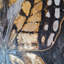 Elena - Wrapped Canvas Painting-208117633
