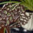 Tree of Life Table Sculpture