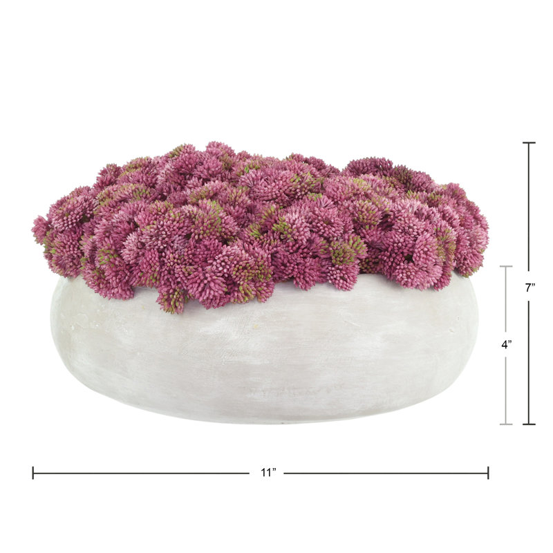 Sedum Arranged in a Stone Planter, Pink, 7" H x 11" W x 11" D