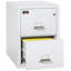 Fireproof 2 - Drawer File Cabinet-20325697