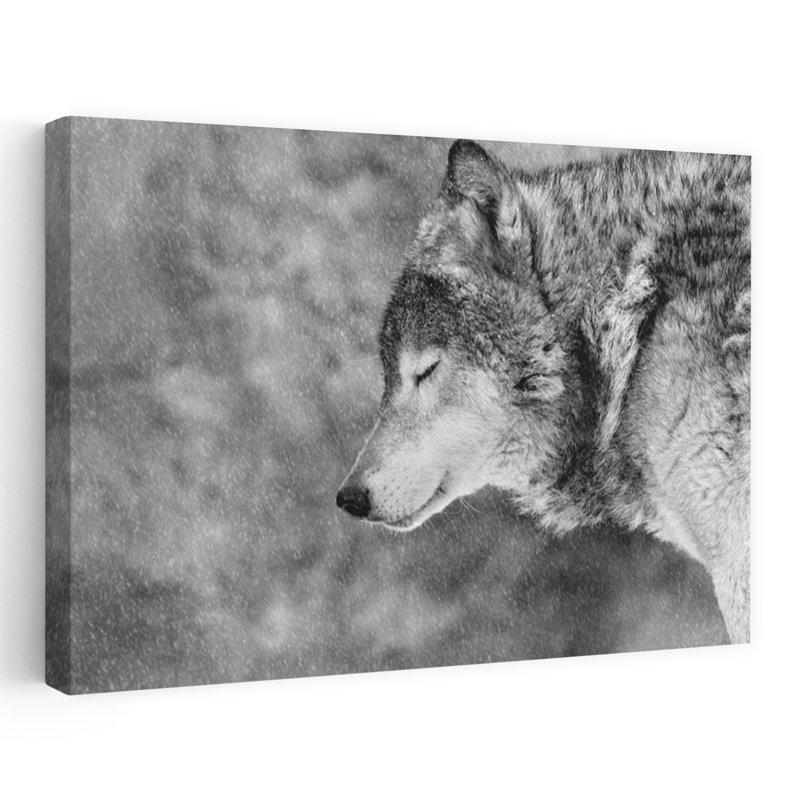 Art contemporain contemporain, paysage de loup, H 40 po x l 60 po