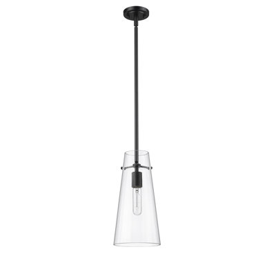Vilmos 1 - Light Cone Pendant