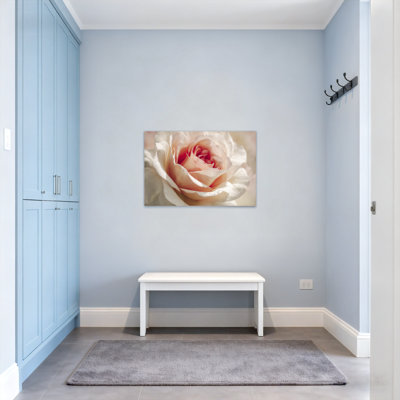 Plantes et fleurs, rose doux, gros plan sur toile
