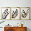 ANIMALS Series CECXLIX - Impression encadrée sur mesure de qualité supérieure - 3 pièces-578419426-578419427