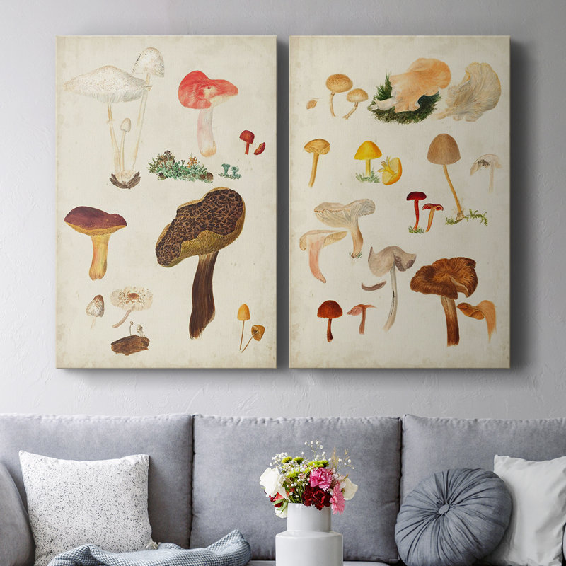 Toile tendue avec châssis Mushroom Species, H 36 po x l 48 po