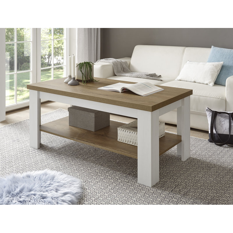 Brasher Solid Wood Coffee Table with Storage