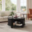 Table basse 31,5 "moderne avec rangement-265502438