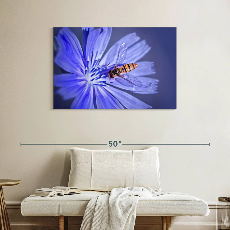 Bee On Chicory Flower, 26" H x 39" W