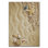 Luxurious Polyester Carpet, 39.4 x 70.9 Inches | 740 g/m² | Velvet Fabric with Non-Slip Felt Dot Underside | Laminated Sponge for Comfort | Easy to Clean & Machine Washable | Perfect for Living Room & Bedroom Décor