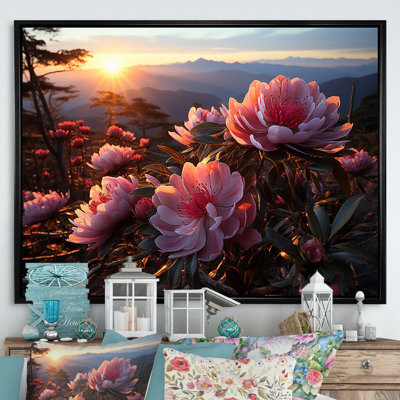 Rhododendron rose en fleurs au coucher du soleil