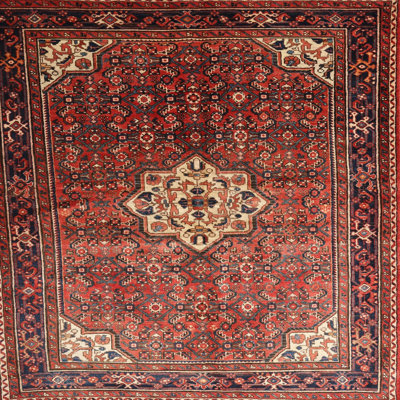 Oriental Indoor Rug