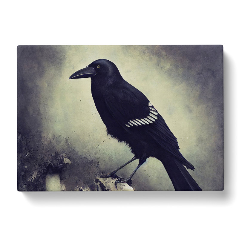 An Unusual Crow Bird - Wrapped Canvas, 35cm H x 50cm W x 3cm D