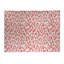 Paillasson Animal-1427936925-1427936920