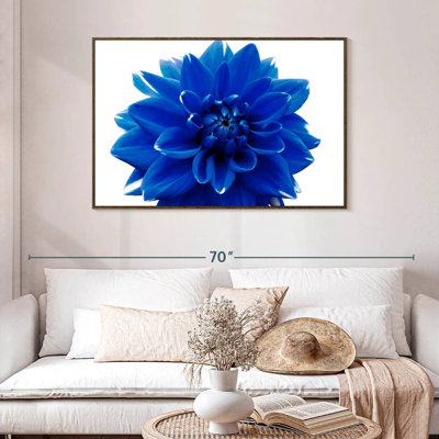 Fleur de dahlia bleue