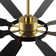Antoinesha Ceiling Fan with LED Lights