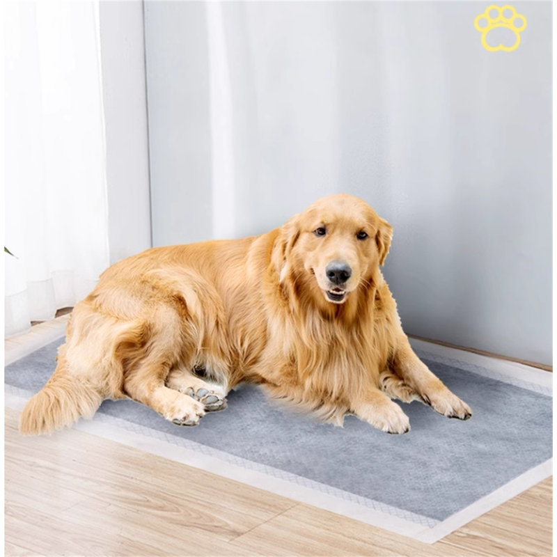 Tapis pour chien (ensemble de 80)