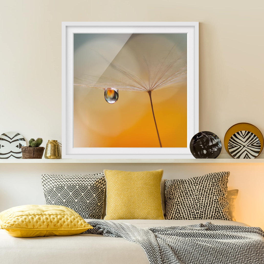 Gerahmtes Papierbild Pusteblume in Orange