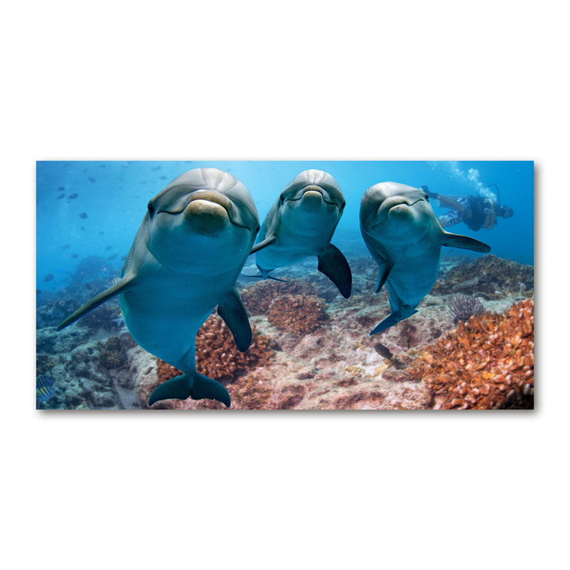Dolphins - Wrapped Canvas Print