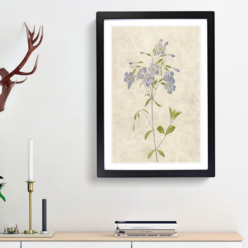 Lilac Phlox Flowers by Pierre-Joseph Redoute - Picture Frame Painting Print, Black Framed, 65cm H x 48cm W x 2cm D