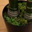 120 plantes Robellini