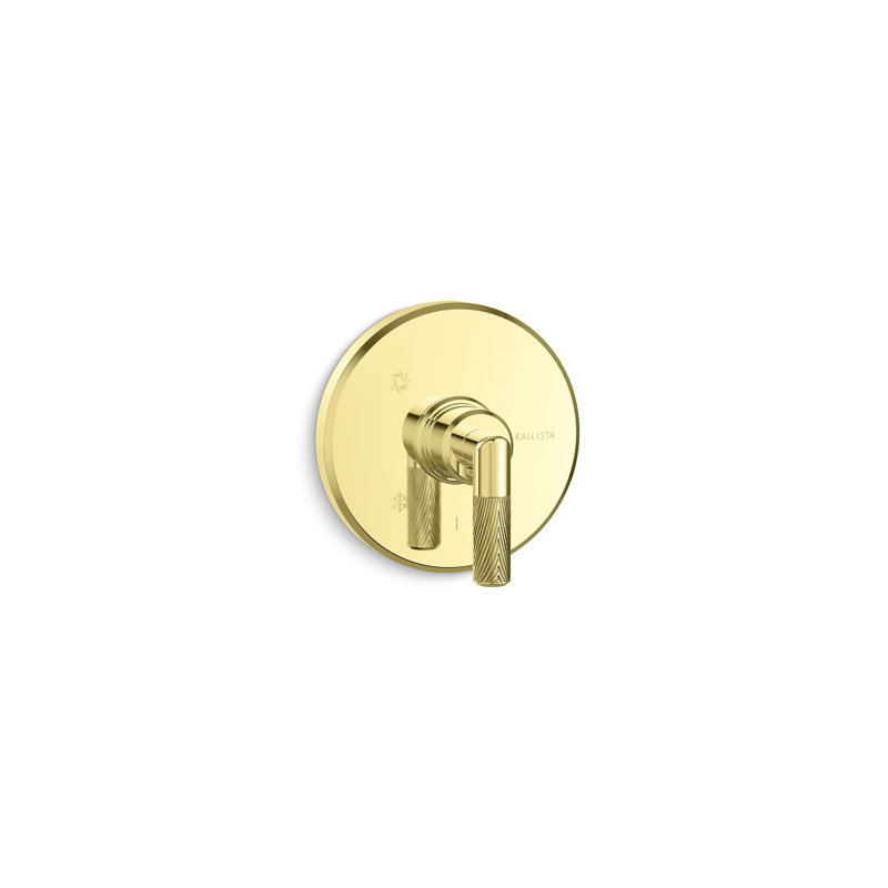 Pinna Paletta® Pressure Balance Trim, Lever Handle, Unlacquered Brass