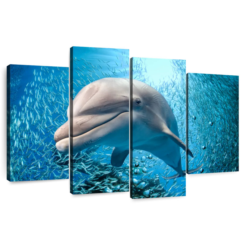 Brampt Dolphin Close Up, 54'' H x 84'' W