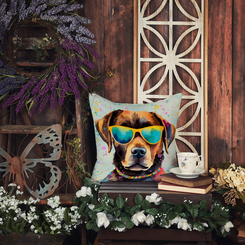Other/No Pattern Outdoor Throw Pillow