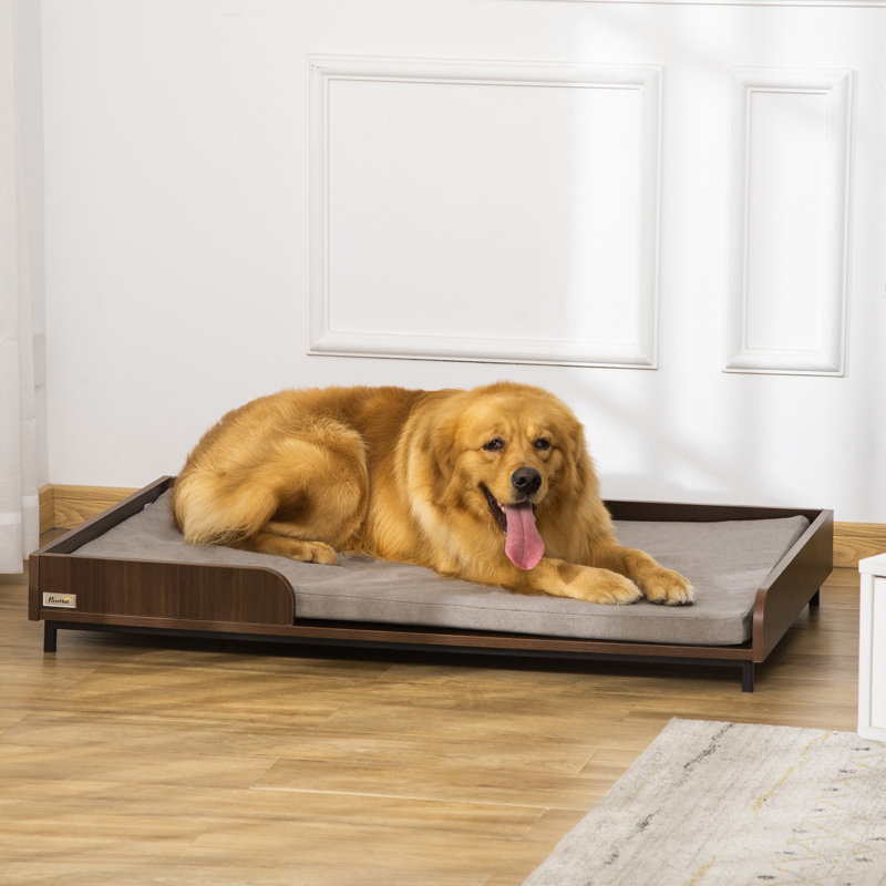 Canapé pour chien