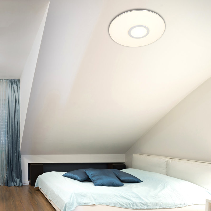 Millicent Acrylic LED Flush Mount