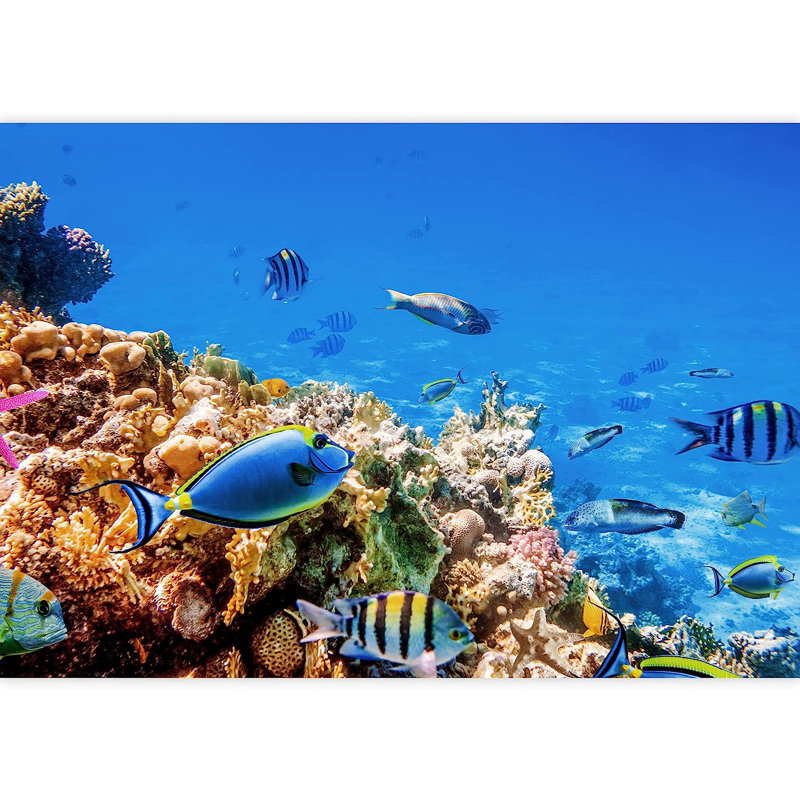 Peel & Stick Border, 100" L x 144" W