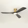 Karlena 52'' Ceiling Fan with Light Kit and Remote Control