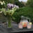Arbnora Rectangular Outdoor Coffee Table , 48 " W 24 " D-549926927