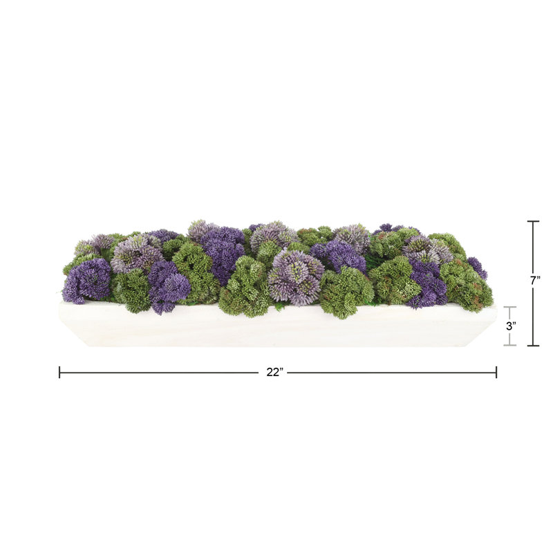 Sedum Arrangement in a Rectangular Wood Planter, Tan