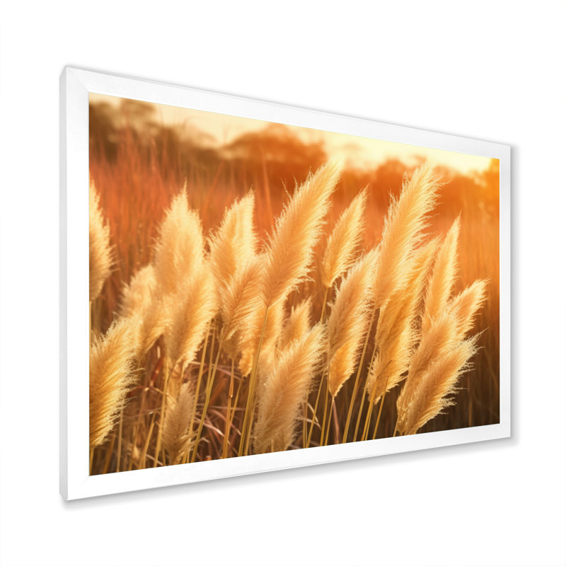 «White Pampas Meadows At Sunset» sur toile, H 34 po x l 44 po x P 1,5 po, Cadre simple blanc