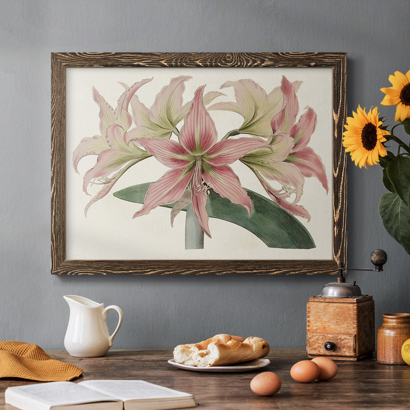Amaryllis Varietals I, reproduction d'art sur toile, Cadre noyer, H 14 po x l 20 po x P 1,5 po