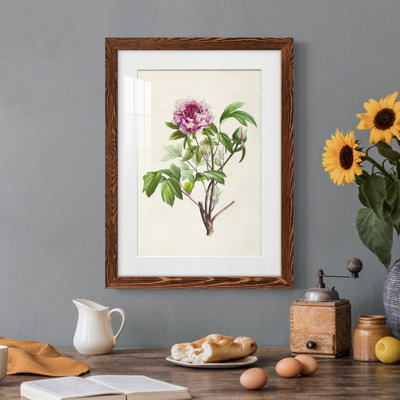 «Pretty Botanicals V», cadre photo