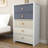 Bustillo 30.7'' Wide 5 -Drawer Chest-1285406361