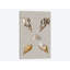 Coquillages sur toile IV par Vision Studio - Giclée sur toile tendue avec châssis-27889761-72512931-72512937
