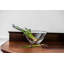 Barre Bowl-2045889189