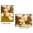 Ayden Metal Poster Picture Frame  with Real Glass-1255456589-1314252051