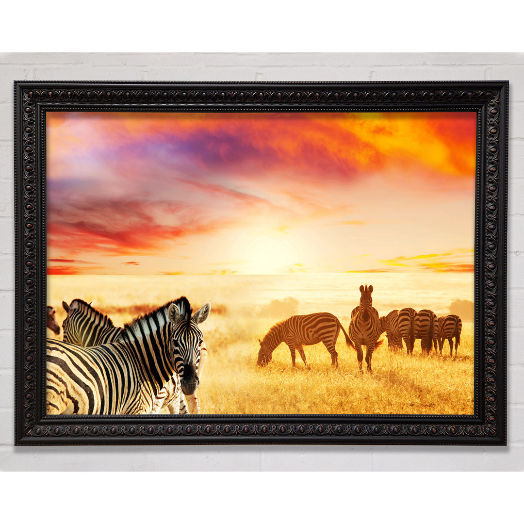 Zebra Sonnenuntergang Safari - Einzelne Bilderrahmen Kunstdrucke